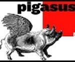 Plakaty kolekcja Krzysztofa Dydo